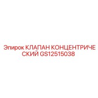 GS12515038 КЛАПАН КОНЦЕНТРИЧЕСКИЙ Epiroc