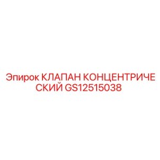 GS12515038 КЛАПАН КОНЦЕНТРИЧЕСКИЙ Epiroc
