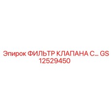 GS12529450 ФИЛЬТР КЛАПАНА С… Epiroc