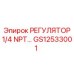 GS12533001 РЕГУЛЯТОР 1/4 NPT Epiroc