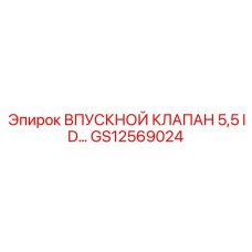 GS12569024 ВПУСКНОЙ КЛАПАН 5,5 ID - Epiroc