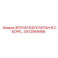 GS12569456 ВПУСКНОЙ КЛАПАН В СБОРЕ Epiroc