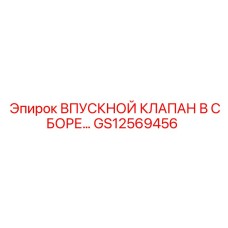 GS12569456 ВПУСКНОЙ КЛАПАН В СБОРЕ Epiroc