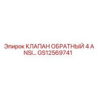 GS12569741 КЛАПАН ОБРАТНЫЙ 4 ANSI Epiroc
