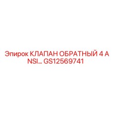 GS12569741 КЛАПАН ОБРАТНЫЙ 4 ANSI Epiroc