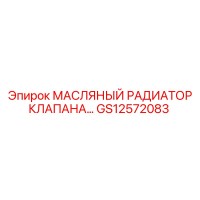 GS12572083 МАСЛЯНЫЙ РАДИАТОР КЛАПАНА | Epiroc