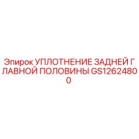 GS12624800 УПЛОТНЕНИЕ ЗАДНЕЙ ГЛАВНОЙ ПОЛОВИНЫ | Epiroc
