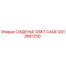GS12661250 СИДЕНЬЕ GSKT CAGE Epiroc