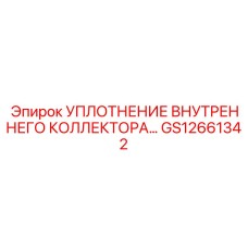 GS12661342 УПЛОТНЕНИЕ ВНУТРЕННЕГО КОЛЛЕКТОРА | Epiroc