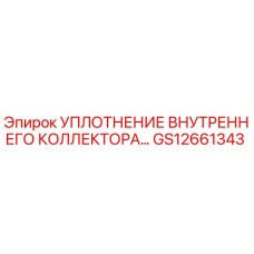 GS12661343 УПЛОТНЕНИЕ ВНУТРЕННЕГО КОЛЛЕКТОРА Epiroc (Эпирок)
