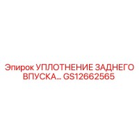 GS12662565 УПЛОТНЕНИЕ ЗАДНЕГО ВПУСКА Epiroc (Эпирок)