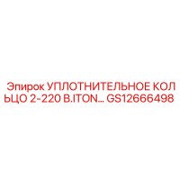 GS12666498 УПЛОТНИТЕЛЬНОЕ КОЛЬЦО 2-220 В.ITON Epiroc