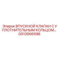 GS12666596 ВПУСКНОЙ КЛАПАН С УПЛОТНИТЕЛЬНЫМ КОЛЬЦОМ Epiroc