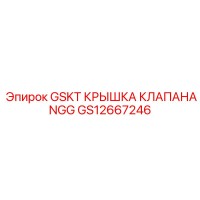 GS12667246 GSKT КРЫШКА КЛАПАНА NGG Epiroc