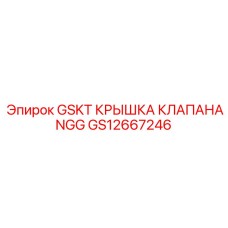 GS12667246 GSKT КРЫШКА КЛАПАНА NGG Epiroc