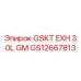 GS12667813 GSKT EXH 3.0L GM Epiroc