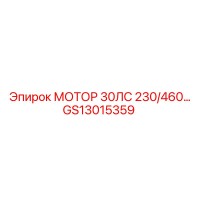 GS13015359 МОТОР 30ЛС 230/460… Epiroc