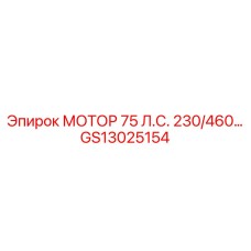 GS13025154 МОТОР 75 Л.С. 230/460… Epiroc