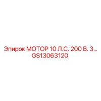 GS13063120 МОТОР 10 Л.С. 200В Epiroc