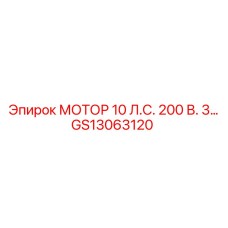 GS13063120 МОТОР 10 Л.С. 200В Epiroc