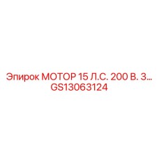 GS13063124 МОТОР 15 Л.С. 200В Epiroc