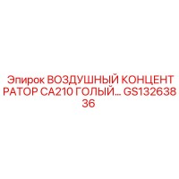 GS13263836 ВОЗДУШНЫЙ КОНЦЕНТРАТОР CA210 ГОЛЫЙ Epiroc