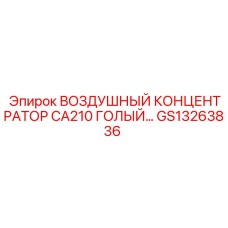 GS13263836 ВОЗДУШНЫЙ КОНЦЕНТРАТОР CA210 ГОЛЫЙ Epiroc