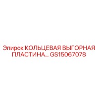 GS15067078 КОЛЬЦЕВАЯ ВЫГОРНАЯ ПЛАСТИНА Epiroc