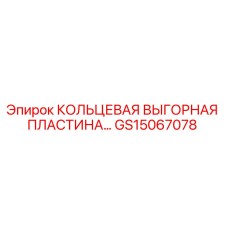 GS15067078 КОЛЬЦЕВАЯ ВЫГОРНАЯ ПЛАСТИНА Epiroc