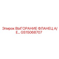 GS15068707 ВЫГОРАНИЕ ФЛАНЕЦ A/E Epiroc