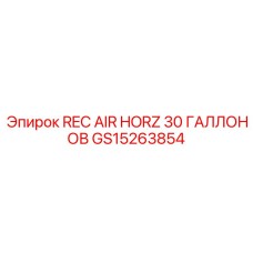 GS15263854 REC AIR HORZ 30 GALLONS Epiroc