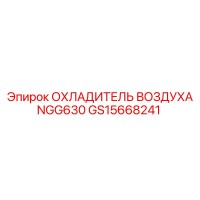 GS15668241 ОХЛАДИТЕЛЬ ВОЗДУХА NGG630 Epiroc
