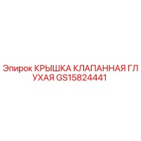 GS15824441 КРЫШКА КЛАПАННАЯ ГЛУХАЯ Epiroc