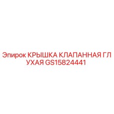 GS15824441 КРЫШКА КЛАПАННАЯ ГЛУХАЯ Epiroc