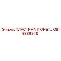 GS15836349 ПЛАСТИНА ЛЮНЕТ Epiroc