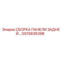 GS15836398 СБОРКА ПАНЕЛИ ЗАДНЕЙ Epiroc