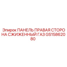 GS15862080 ПАНЕЛЬ ПРАВАЯ СТОРОНА СЖИЖЕННЫЙ ГАЗ Epiroc