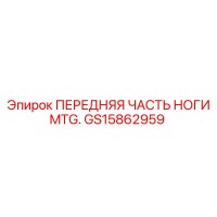 GS15862959 ПЕРЕДНЯЯ ЧАСТЬ НОГИ MTG. Epiroc