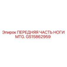 GS15862959 ПЕРЕДНЯЯ ЧАСТЬ НОГИ MTG. Epiroc
