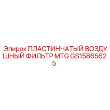 GS15865625 ПЛАСТИНЧАТЫЙ ВОЗДУШНЫЙ ФИЛЬТР MTG Epiroc