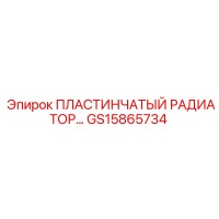GS15865734 ПЛАСТИНЧАТЫЙ РАДИАТОР Epiroc