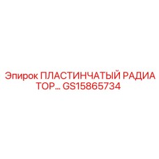 GS15865734 ПЛАСТИНЧАТЫЙ РАДИАТОР Epiroc