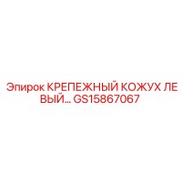 GS15867067 КРЕПЕЖНЫЙ КОЖУХ ЛЕВЫЙ Epiroc