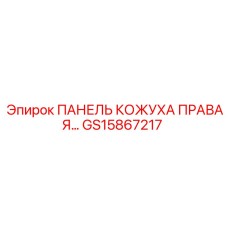 GS15867217 ПАНЕЛЬ КОЖУХА ПРАВАЯ Epiroc