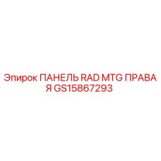 GS15867293 ПАНЕЛЬ RAD MTG ПРАВАЯ Epiroc