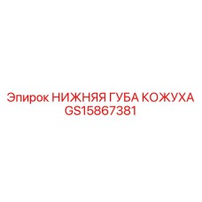 GS15867381 НИЖНЯЯ ГУБА КОЖУХА Epiroc