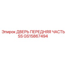 GS15867494 ДВЕРЬ ПЕРЕДНЯЯ ЧАСТЬ SS Epiroc