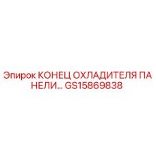 GS15869838 КОНЕЦ ОХЛАДИТЕЛЯ ПАНЕЛИ Epiroc