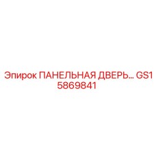GS15869841 ПАНЕЛЬНАЯ ДВЕРЬ Epiroc