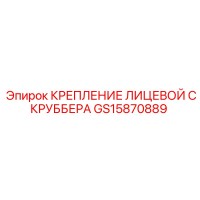 GS15870889 КРЕПЛЕНИЕ ЛИЦЕВОЙ СКРУББЕРА Эпирок